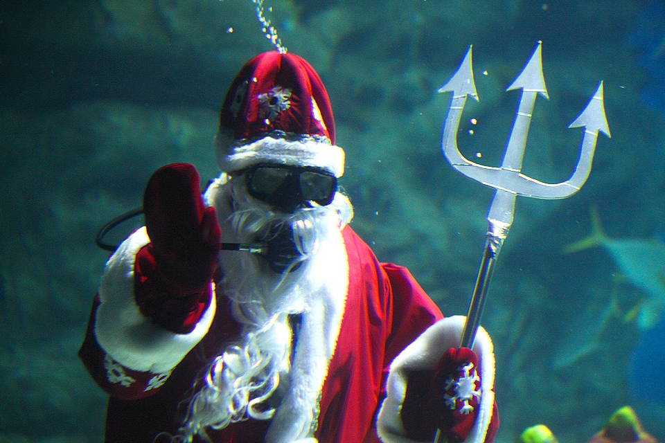 30 лучших новогодних елок в Москве зимой 2021-2022: цирковые шоу, научные квесты и любимые сказки