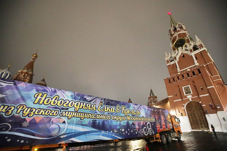 Ёлка в Кремле приехала из Подмосковья