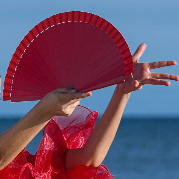 Концерт «Encantados. Магия фламенко»