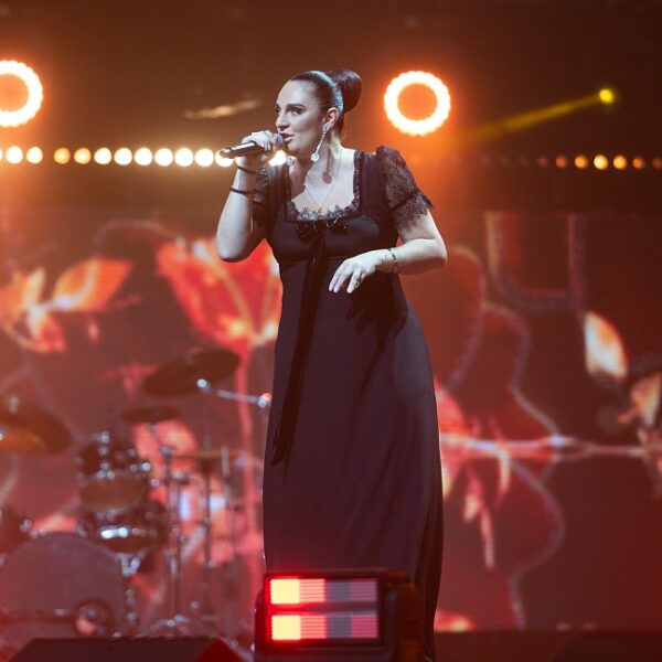 Концерт Елены Ваенги