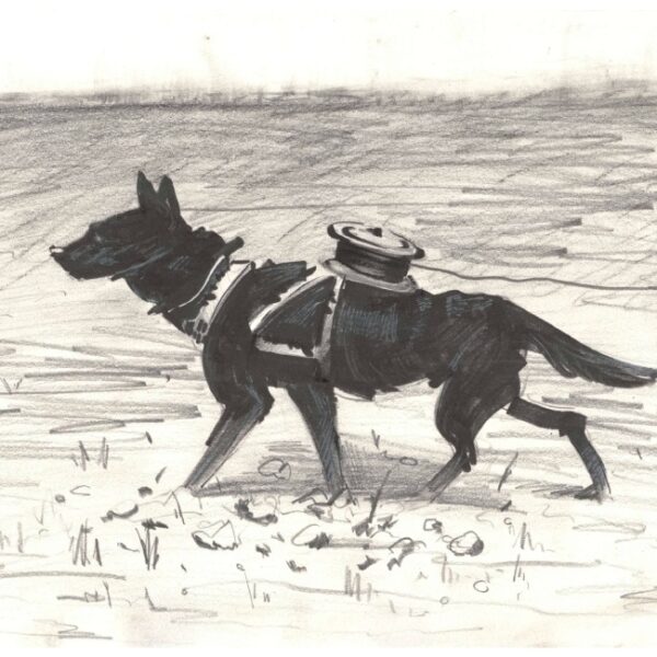 Выставка «Четвероногие герои» в Музее «Г.О.Р.А.»