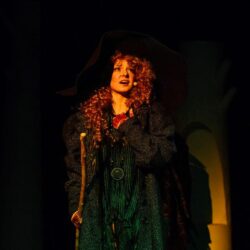 Мюзикл «Злючка»