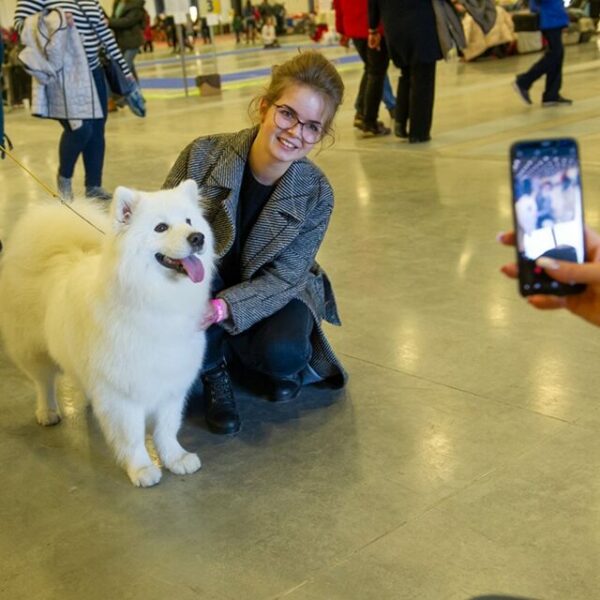 Выставка «Зоошоу. Зима»