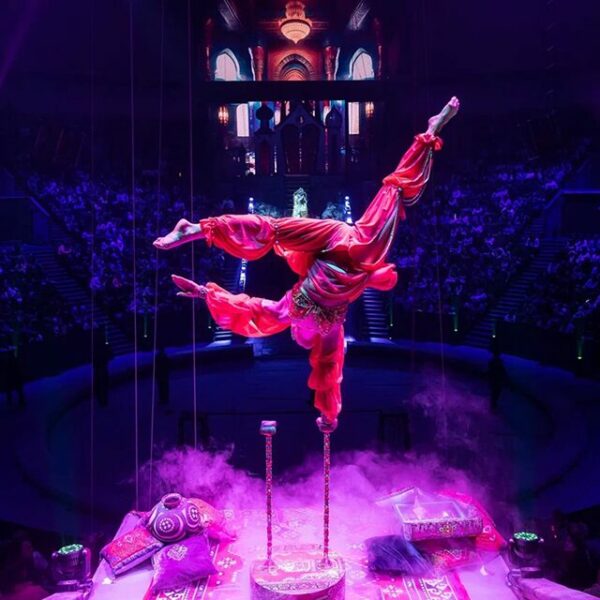 Шоу «Сказка о Золотой рыбке»