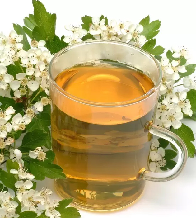 Чай из цветков боярышника. Фото: Globallookpress