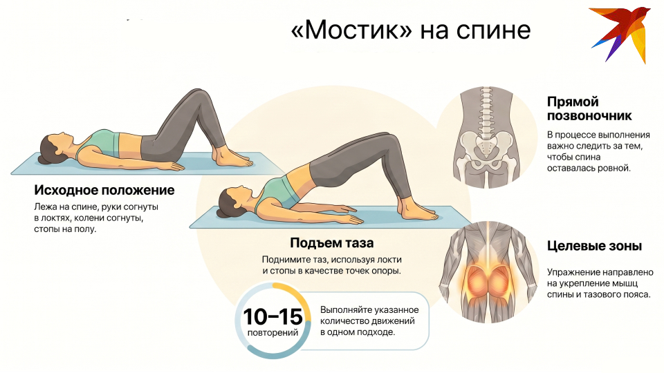 10 лучших упражнений при сколиозе у взрослых