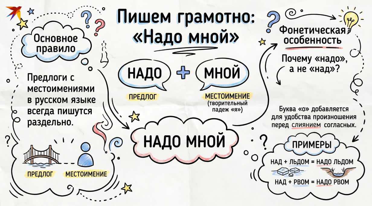 Надо мной инфографик