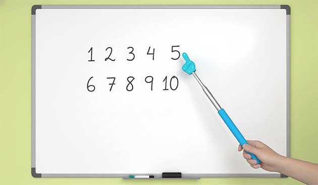 Пикми-палка