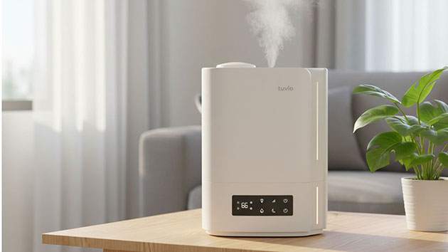 Tuvio TUH03DE. Фото: Татьяна Фадеева / Нейросеть