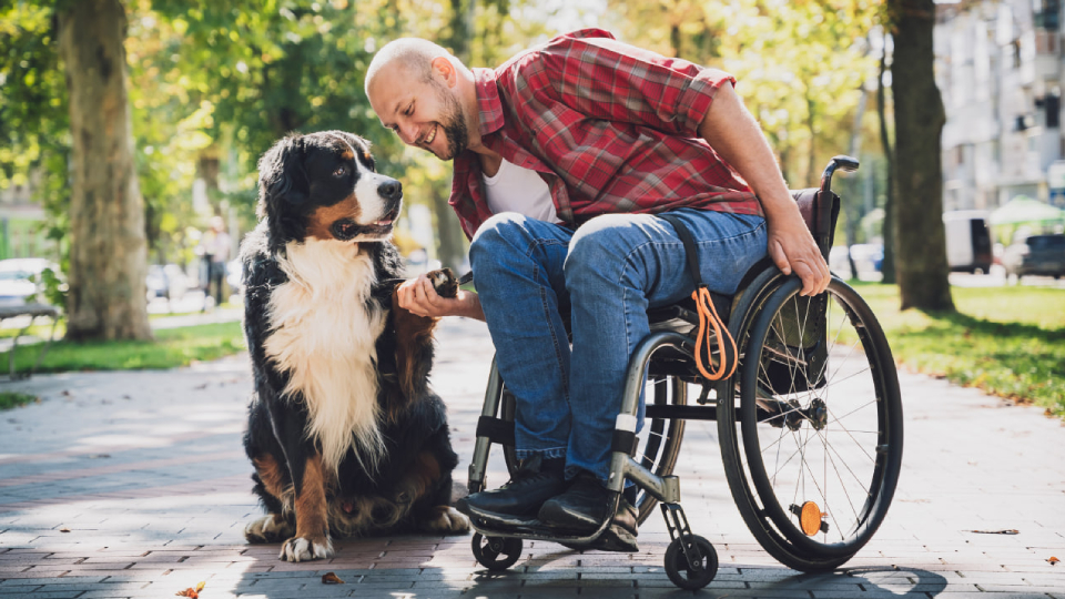 12 лучших инвалидных колясок для дома и улицы в 2025 году