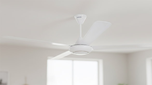 DAIVEN «Эверест 140». Фото: Татьяна Фадеева / Нейросеть