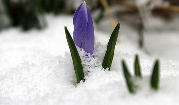 Выходные и праздничные дни в марте