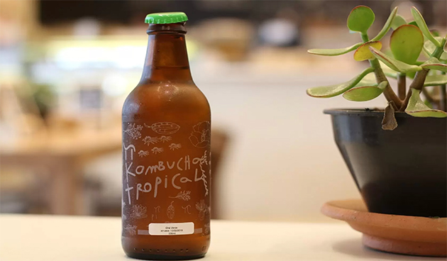 napitok-iz-chajnogo-griba-%e2%80%94-kombucha napitok-iz-chajnogo-griba-%e2%80%94-kombucha