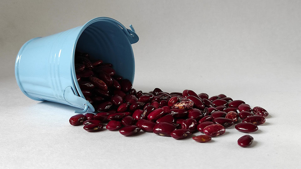 Красная фасоль: польза и вред для организма