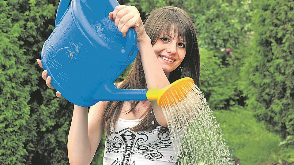 Как спасти огород от жары