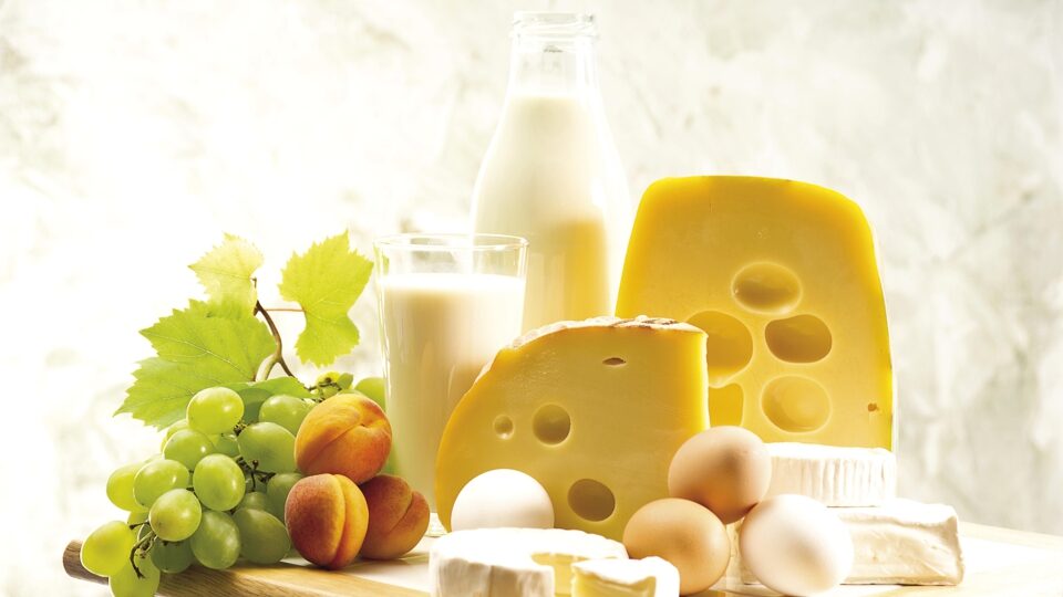 20 potravin bohatých na vápník