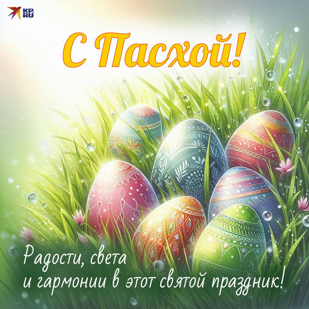 50+ �������� � �������� � ������ 2026: ������� ��������� � �����������  ��������, ��������� �������� � �������� � �������������� �� ��������  �������� �������� �����������