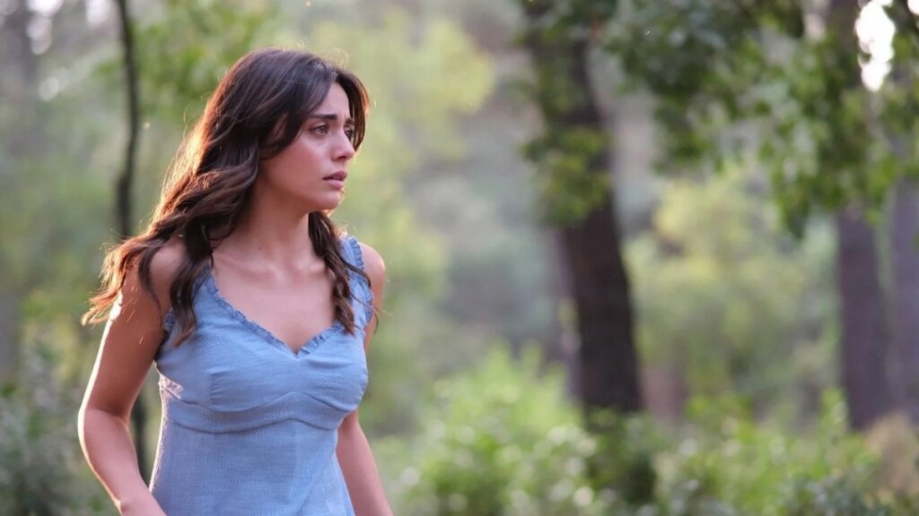 Скандалы, плюсы и минусы, интересные факты: вся подноготная популярного турецкого сериала «Клюквенный щербет»