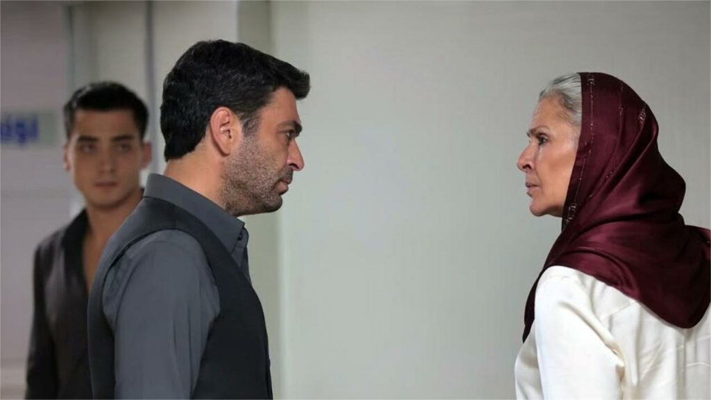 Боран жив, Мине больше нет: Описание 30 серии турецкого сериала «Далекий город»