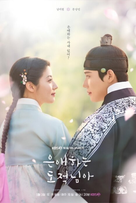 Моя любимая воровка