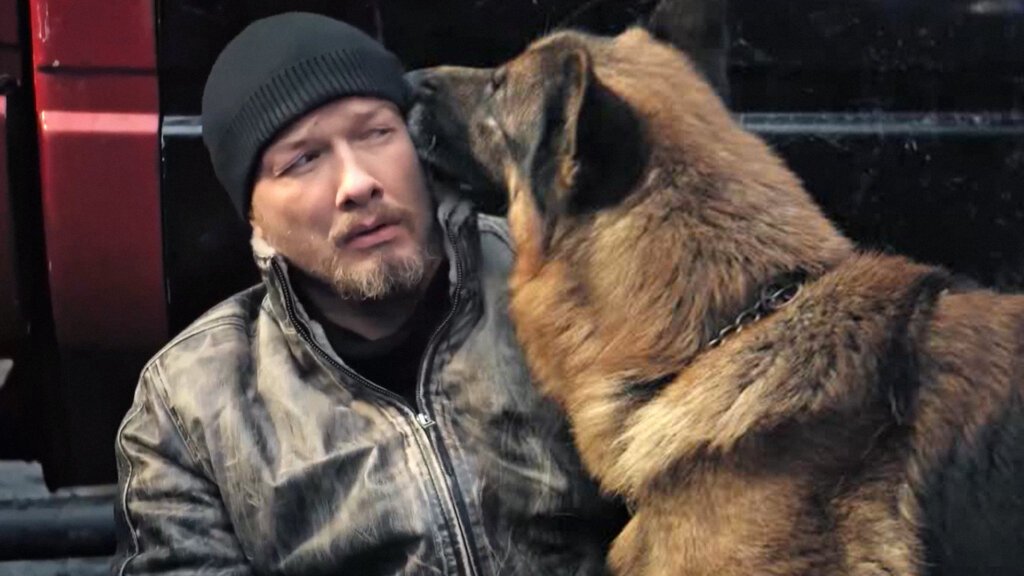 Почему сериал «Пес» закрыли на шестом сезоне и возвращения не будет