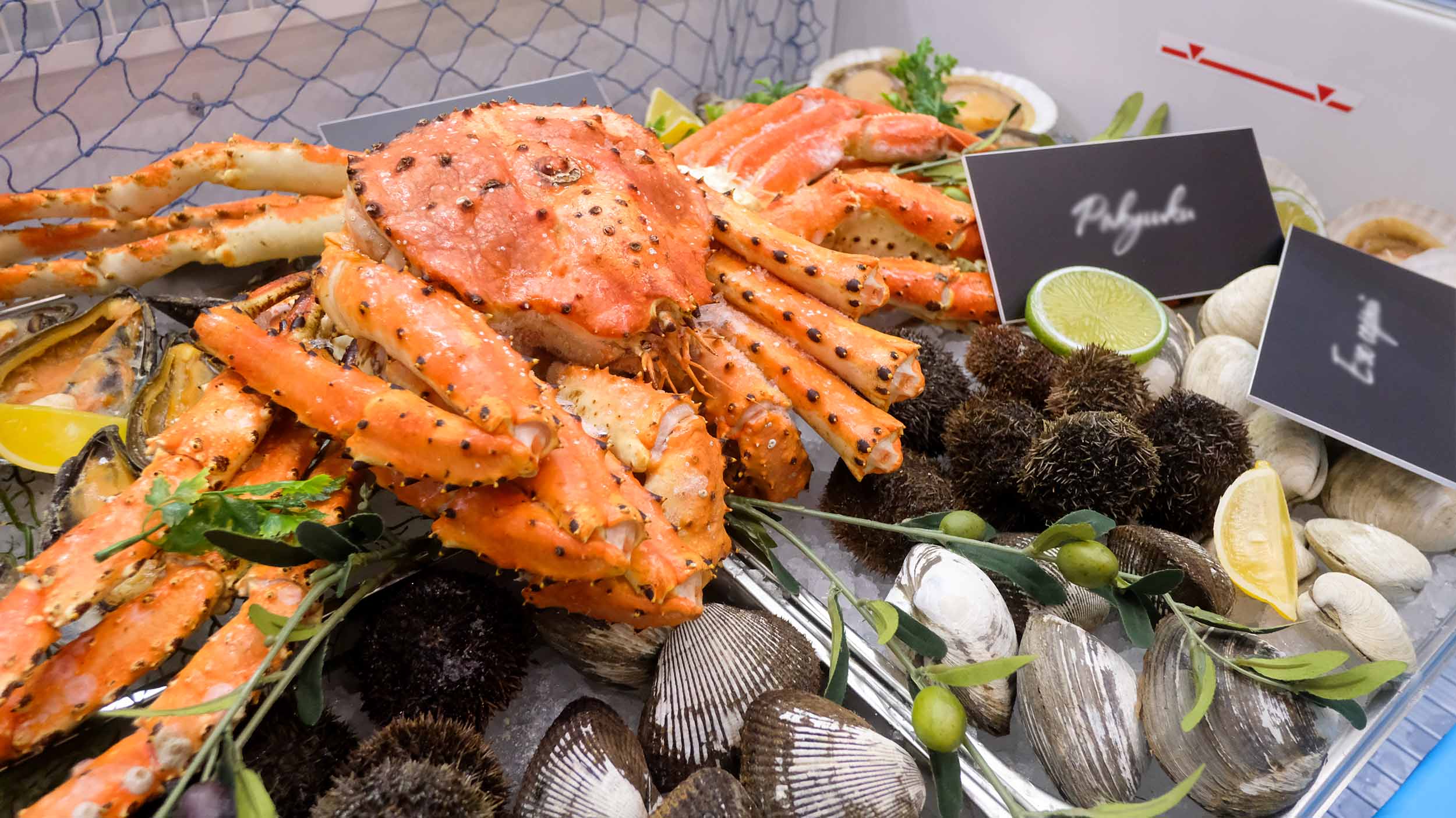 краб и ракушки