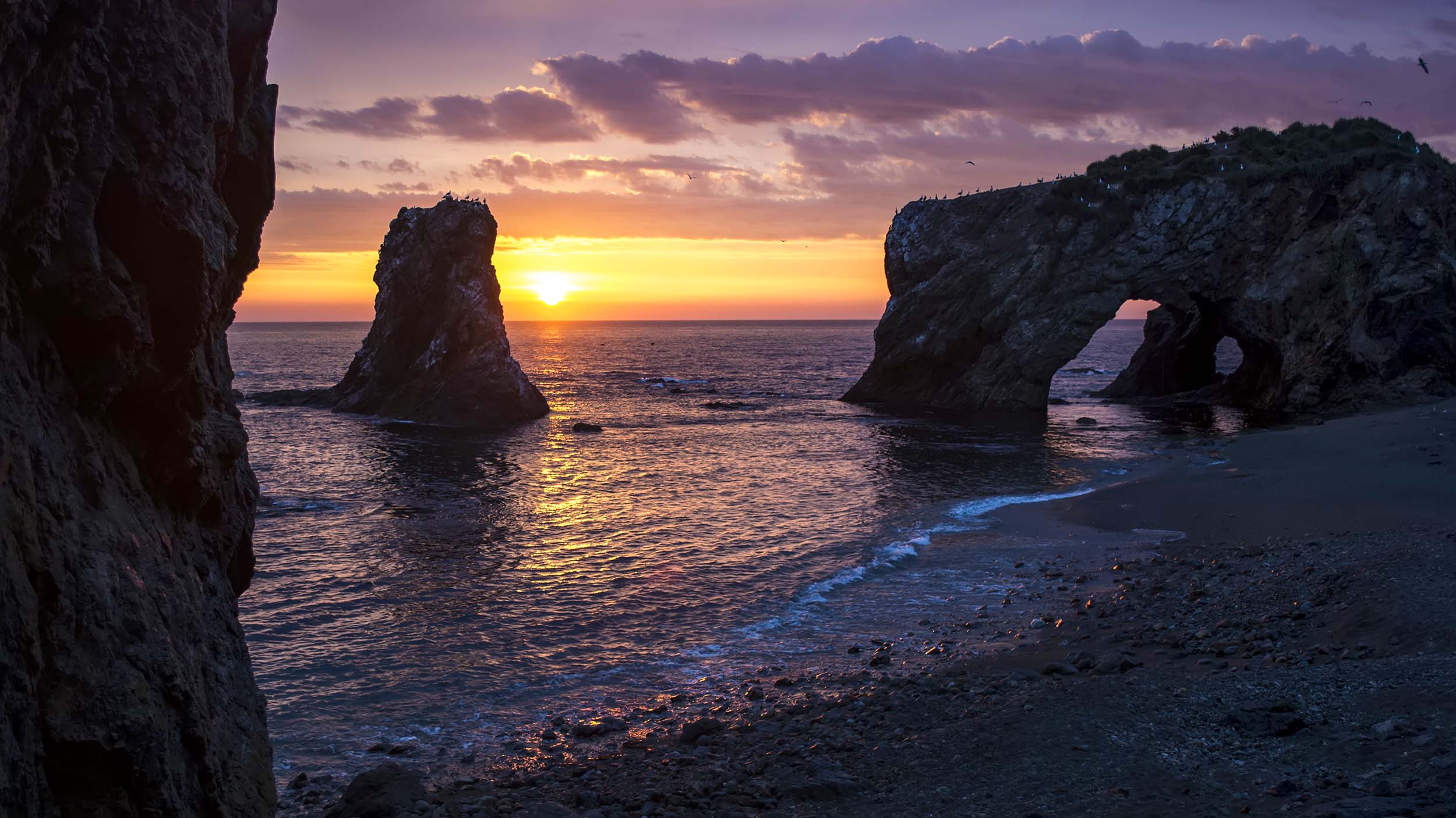 скалы птичий мыс сахалин