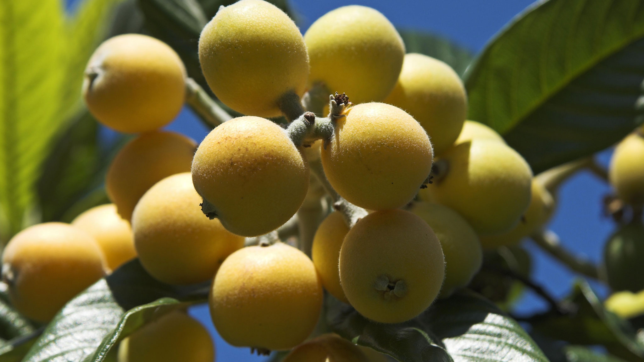 рыба в анапе жареная. Смотреть фото рыба в анапе жареная. Смотреть картинку рыба в анапе жареная. Картинка про рыба в анапе жареная. Фото рыба в анапе жареная рыба в анапе жареная. Смотреть фото рыба в анапе жареная. Смотреть картинку рыба в анапе жареная. Картинка про рыба в анапе жареная. Фото рыба в анапе жареная