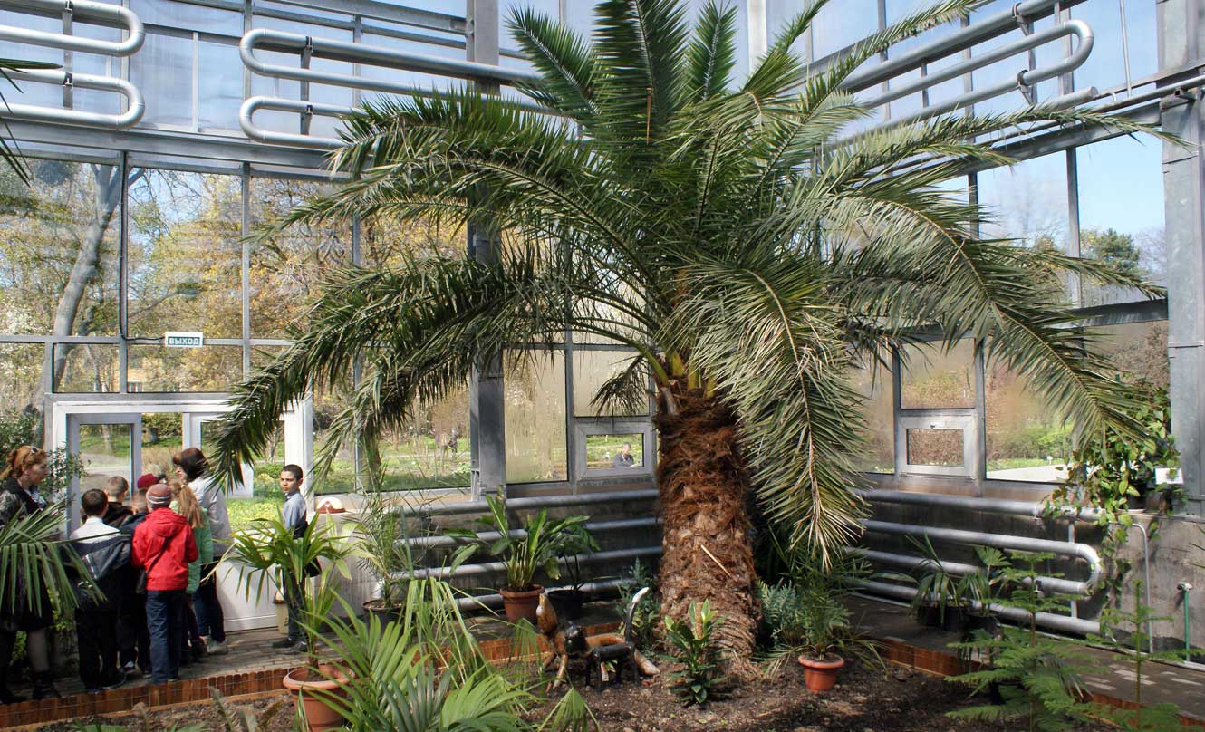 ботанический сад калининград