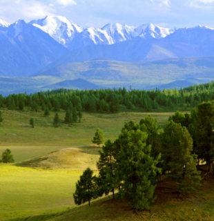 пейзажи алтая