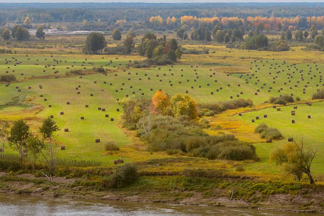 осенний пейзаж