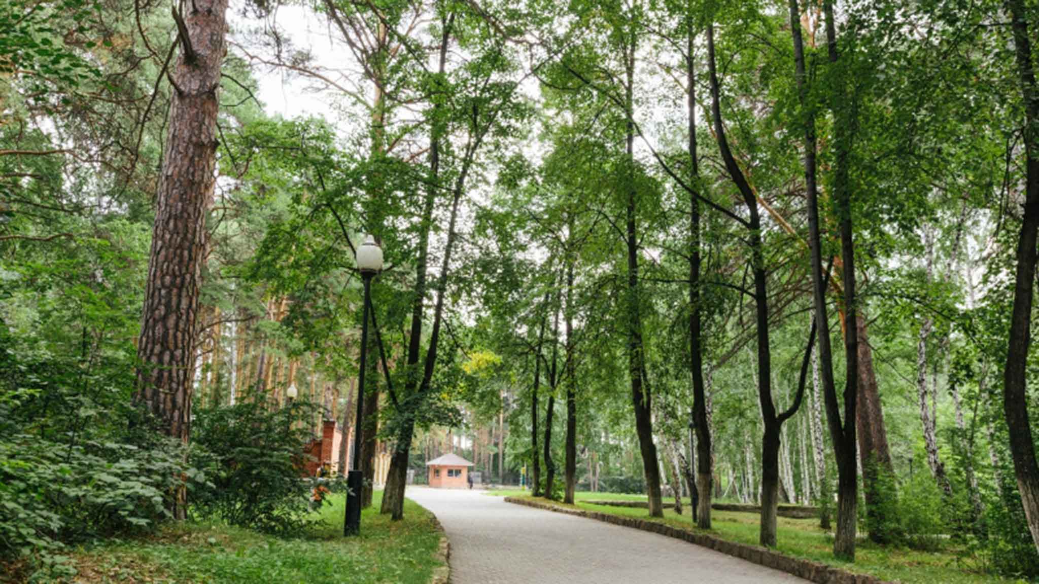 Балтым парк жилой комплекс екатеринбург. Балтым парк верхняя пышма. Юит балтым парк. Санаторий увильды челябинская. Балтым парк васильковая 11.