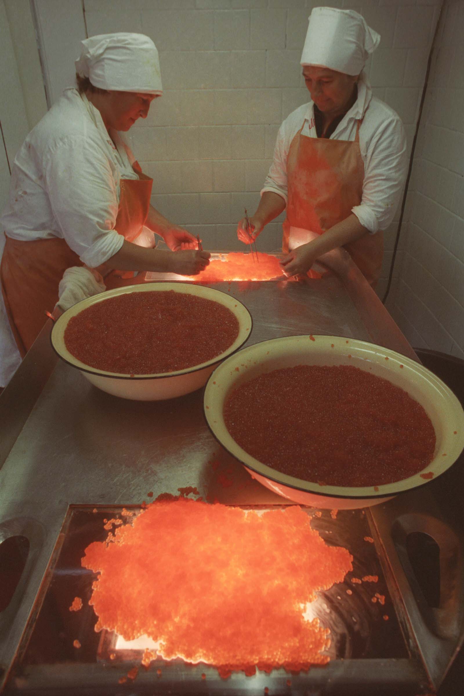 экспедиция на курилы 14