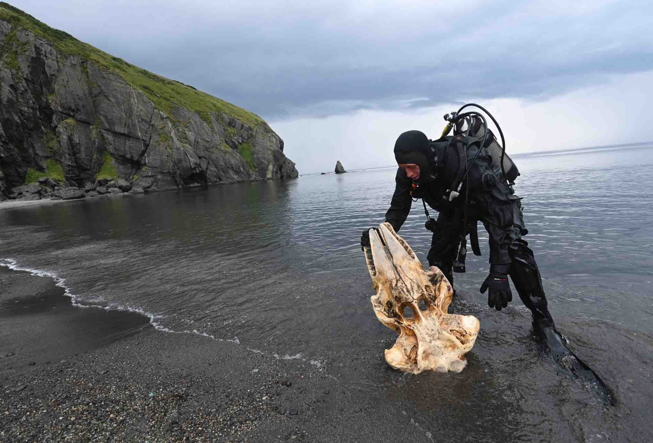 экспедиция на курилы 196
