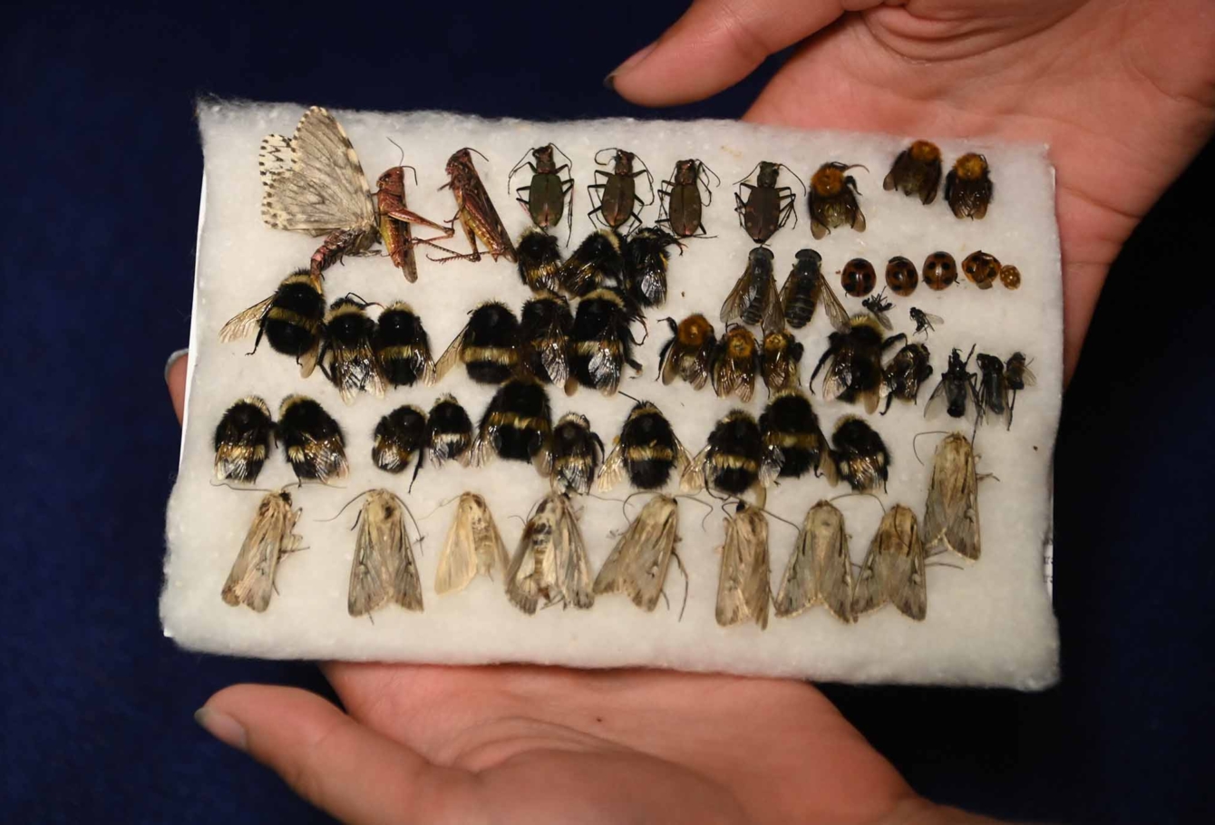 экспедиция на курилы VEL_1070