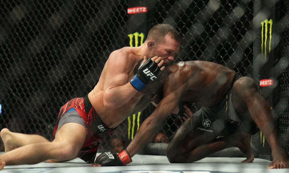 Петр Ян, смешанные единоборства