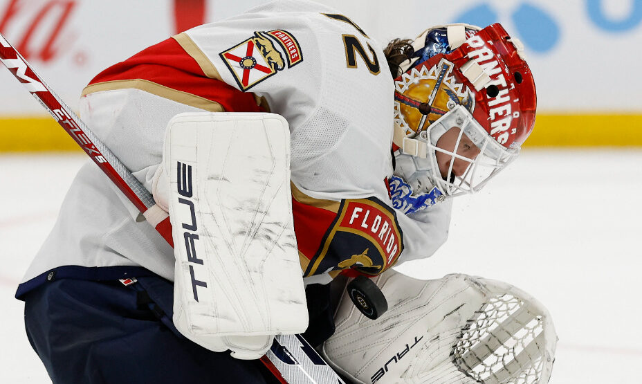 Сергей Бобровский, хоккей