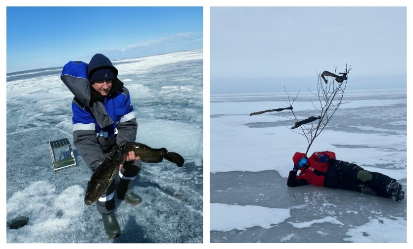 Владимир Быстров