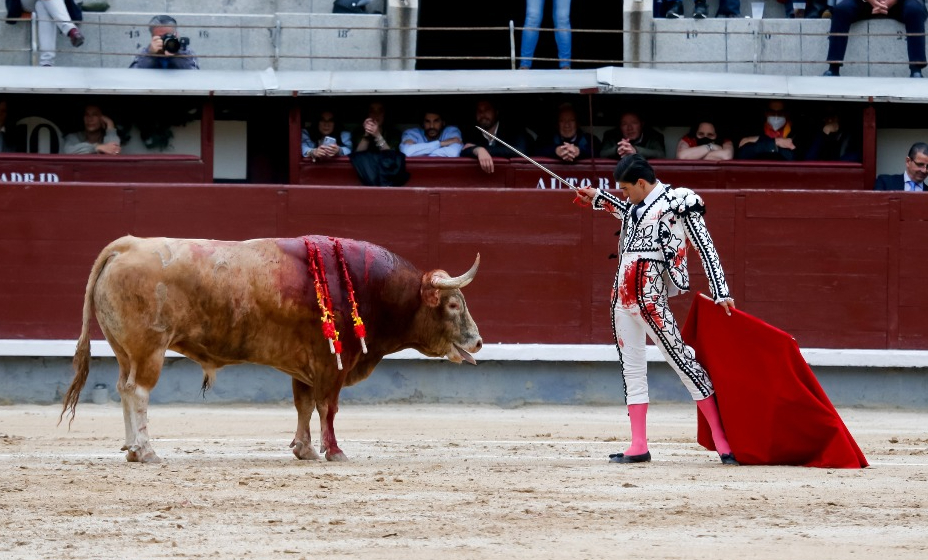 Во время корриды рухнула трибуна стадиона.
Фото: Global Look Press