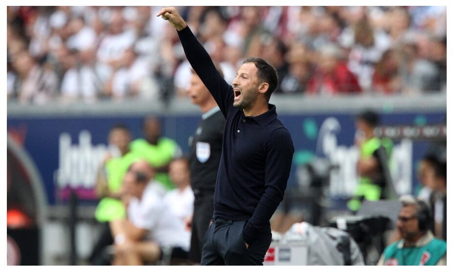 Доменико Тедеско