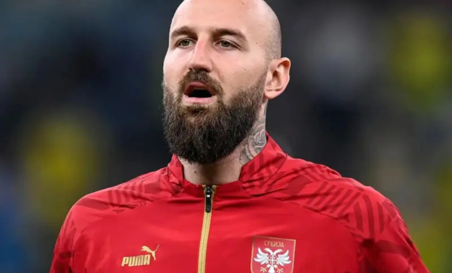 вратарь сборной Сербии подрался с фанатом, фото соцсети