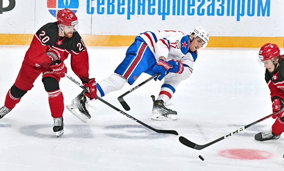 СКА 28 января сыграет с «Витязем» в матче КХЛ. Фото: ХК «Витязь»