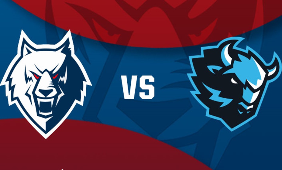 «Нефтехимик» 30 января сыграет с минским «Динамо» в матче КХЛ. Фото: ХК «Нефтехимик»