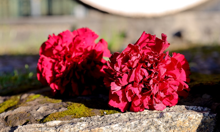 Умер Фото: Global Look Press