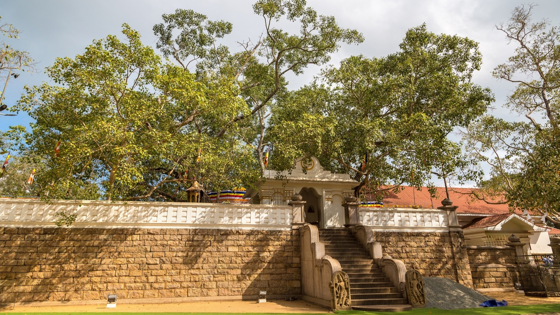 Священное дерево Бо, Анурадхапура.
