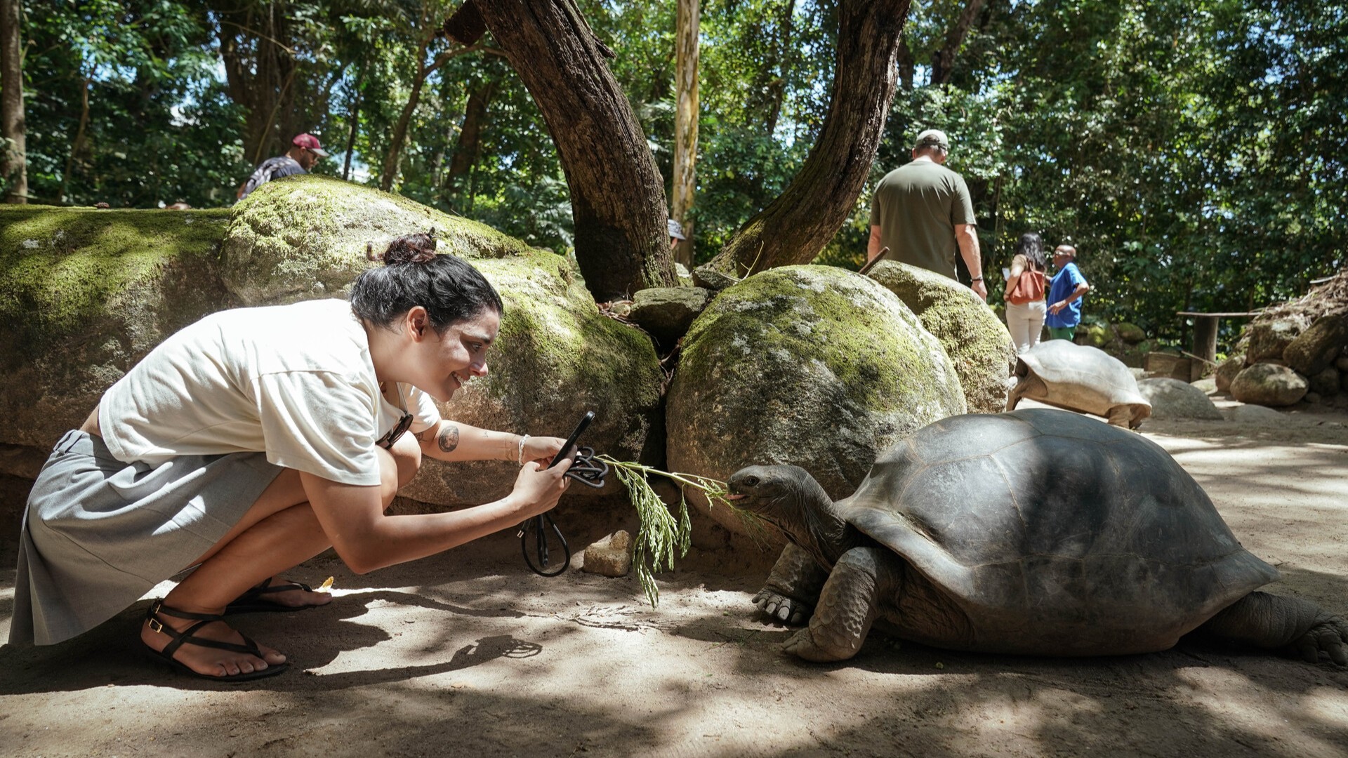 Туристы посещают Ботанический сад Мон-Флери, Виктория.